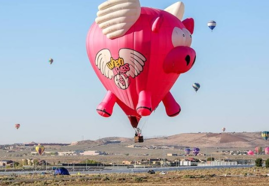 Land_Pig_copy.jpg